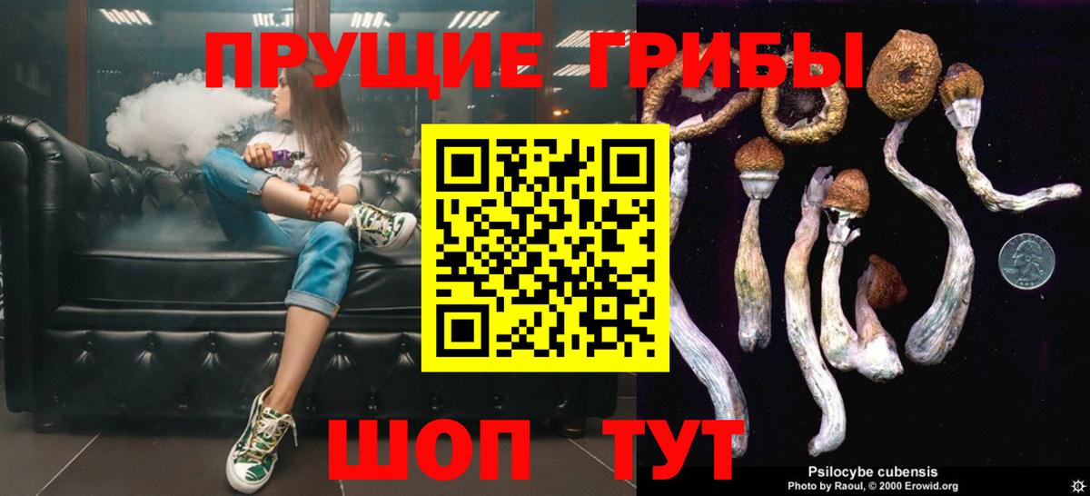 Псилоцибиновые грибы мухоморы Салават